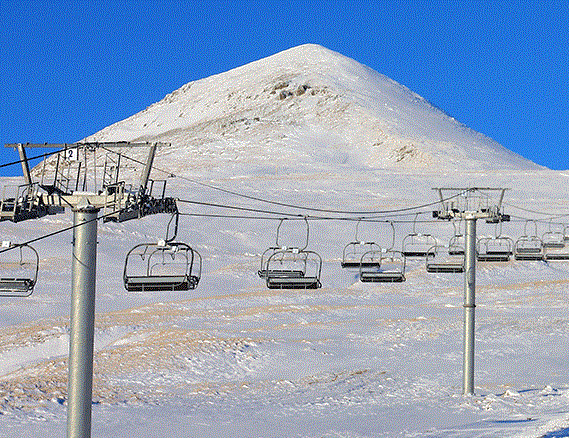 Telescaun concesionat