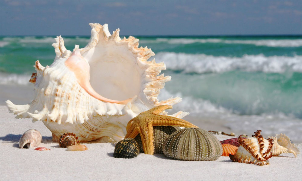 Voucherele de vacanță, doar in sistem online