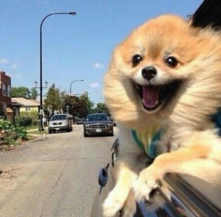 Picture of the Day: It’s the weekeeeeend!!!