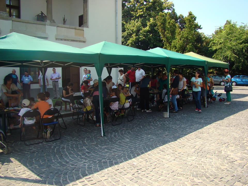 „Maini dibace” la Casa Baniei