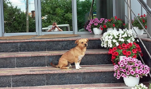 Azi despre ieri – 16 august 2015