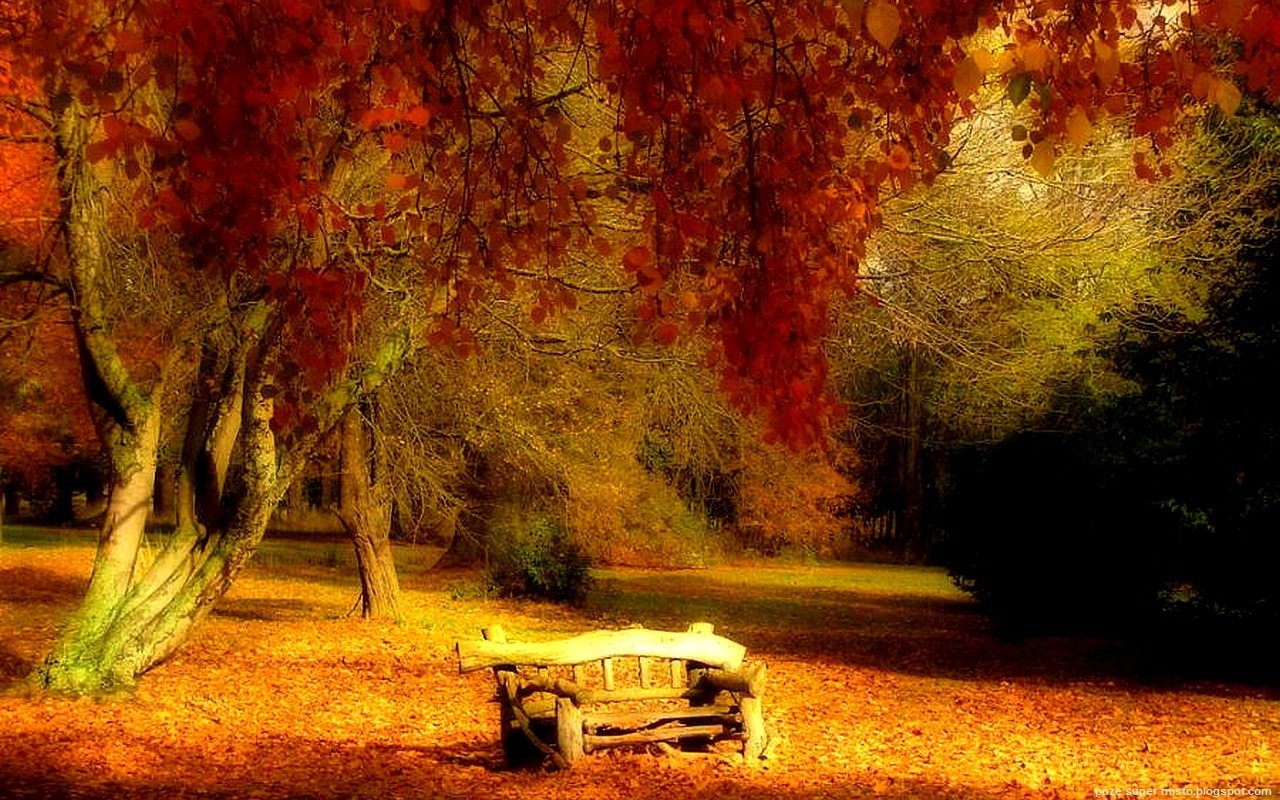 31 AUGUST – PRAGUL VREMII