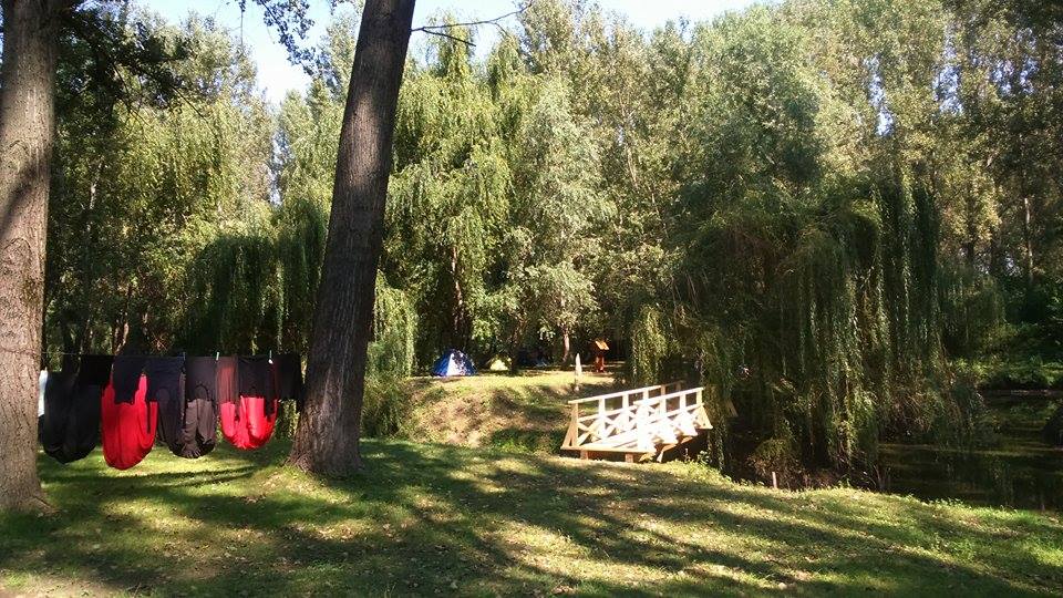 Campare gratuita la Cetate!