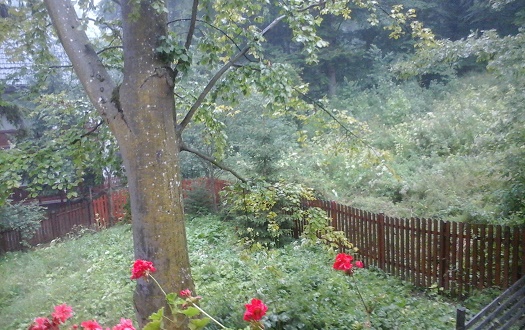 Azi despre ieri – 26 august 2015