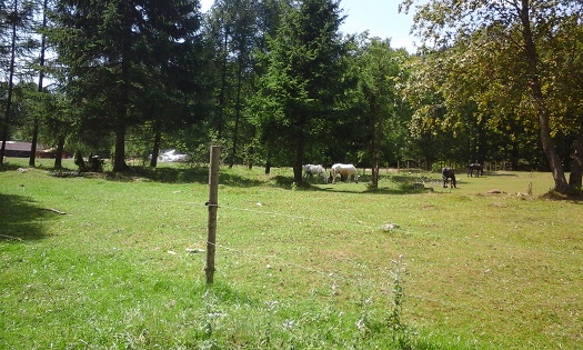 Azi despre ieri – 10 septembrie 2015