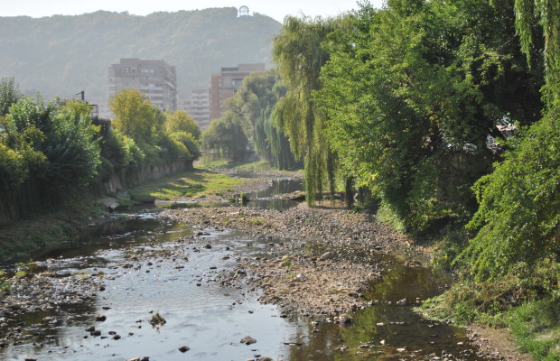 ALARMANT: Debite scazute la jumatate