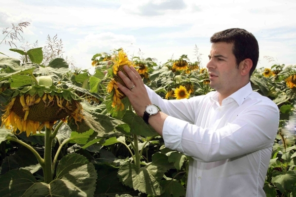 (audio) Ministrul Agriculturii explica urmarile secetei