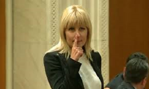 Elena Udrea la Înalta Curte