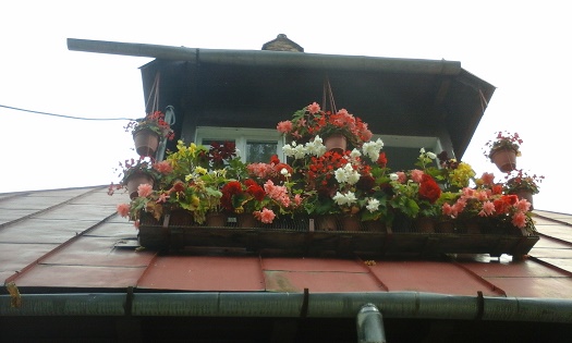 Azi despre ieri – 2 septembrie 2015