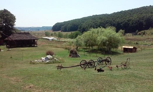 Azi despre ieri – 14 august 2015