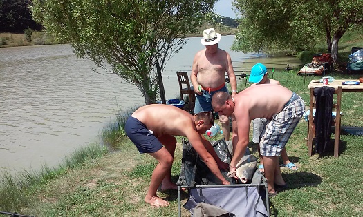 Azi despre ieri – 23 august 2015