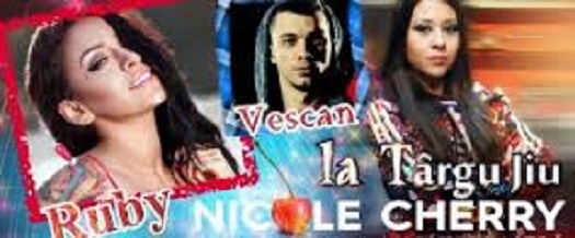 Festivalul Berii pe Insuliță