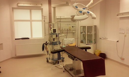 Întâlniri la miezul zilei