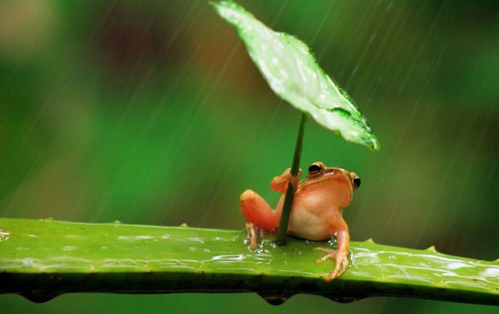 Temperaturi de toamnă în toată ţara