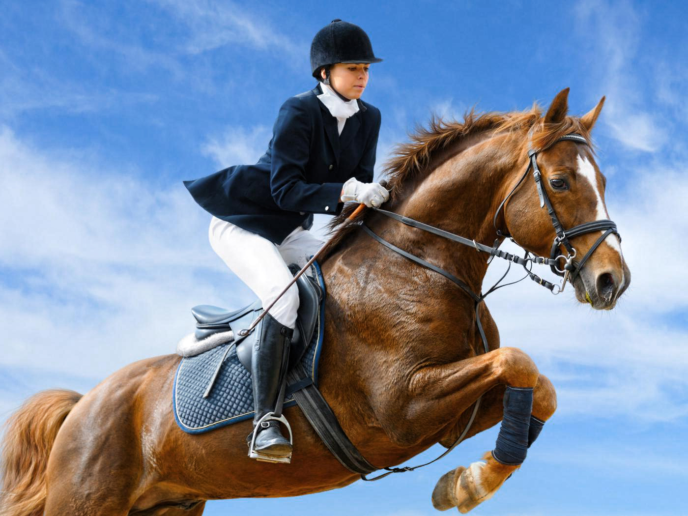 (Audio) Regatul cailor la Giurgiu