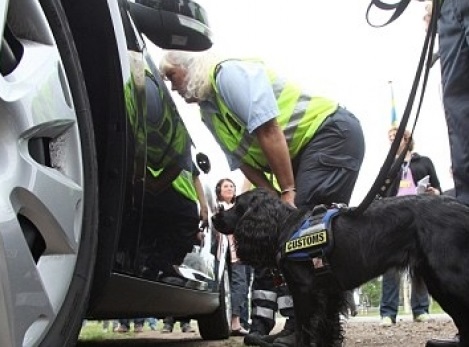 Se sporesc controalele