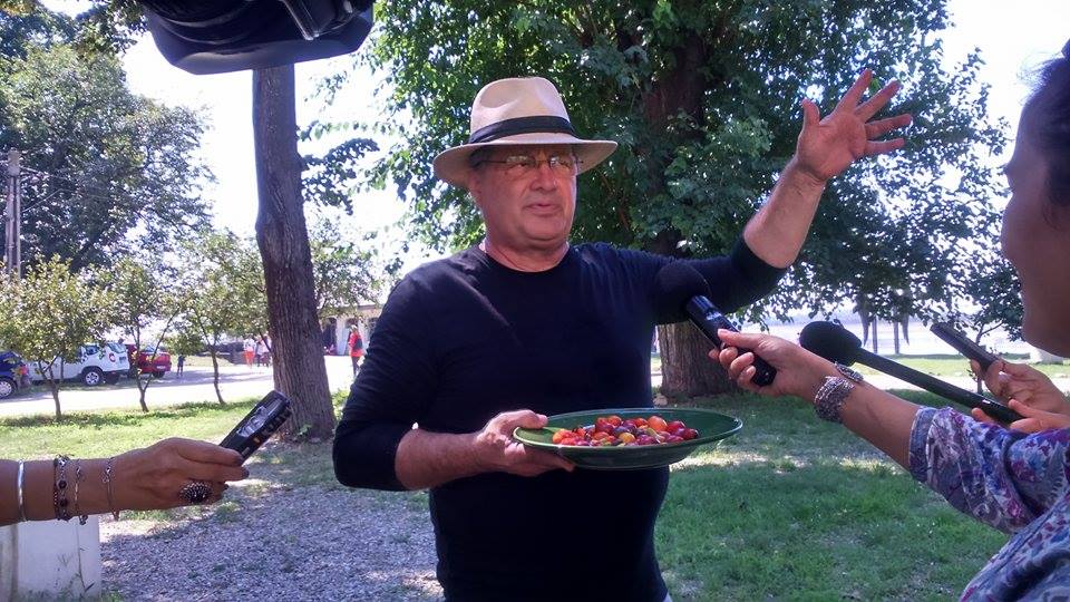 Proiecții de film, concerte și show-uri culinare