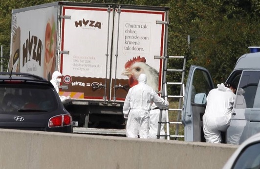 Camionul era condus de bulgari