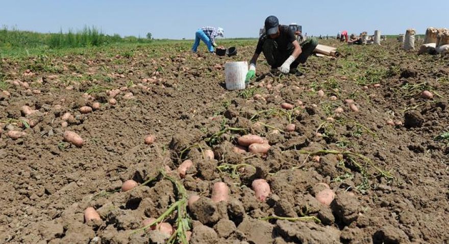 Termen limita pentru rentieri