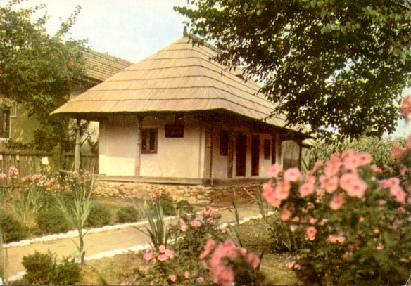 Descopera familia Magheru!