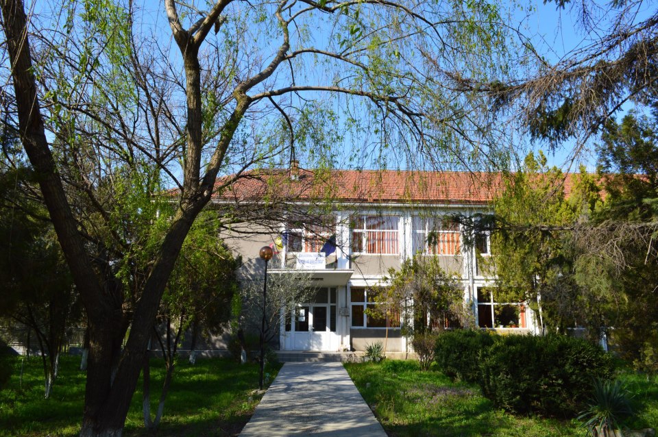 Scoala incepe fara autorizatii de functionare