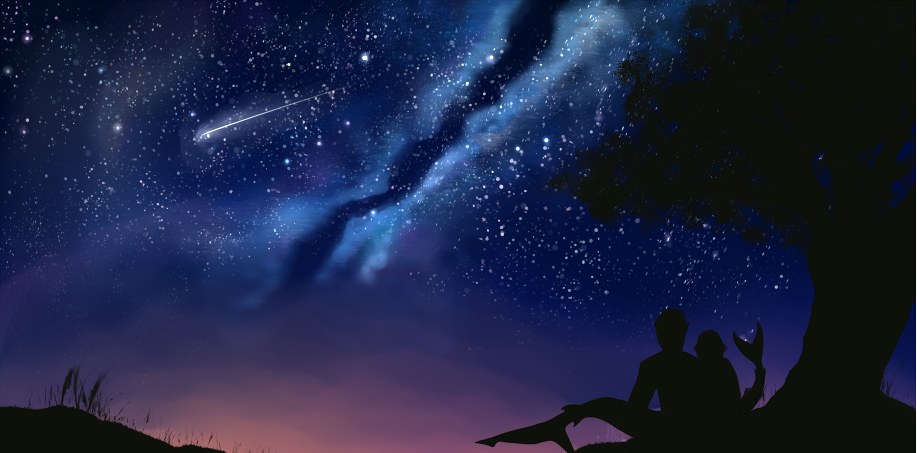 Noaptea magica a stelelor cazatoare