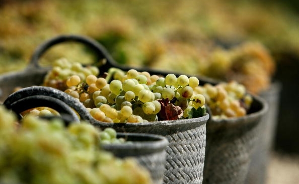 2 SEPTEMBRIE – VREMEA LUI RAPCIUNE