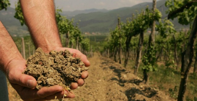 Mehedintiul se usuca!