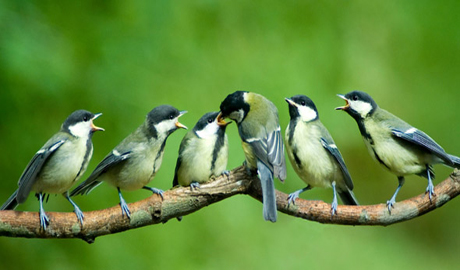 10 SEPTEMBRIE – A-SI FACE BOIERESCUL