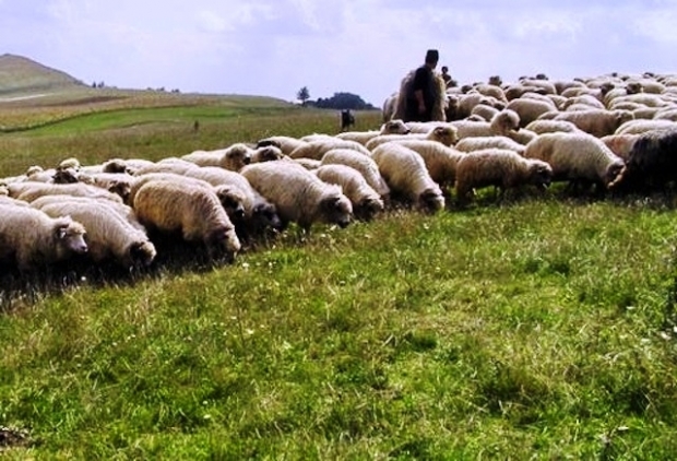 24 SEPTEMBRIE – TECLELE