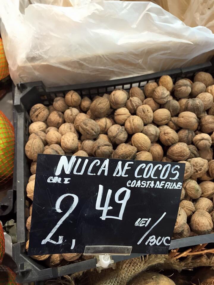 Toamna se numara nucile… de cocos!