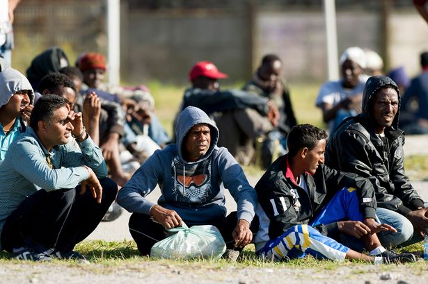 Tabara de 5 milioane de euro