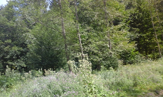 Azi despre ieri – 30 septembrie 2015