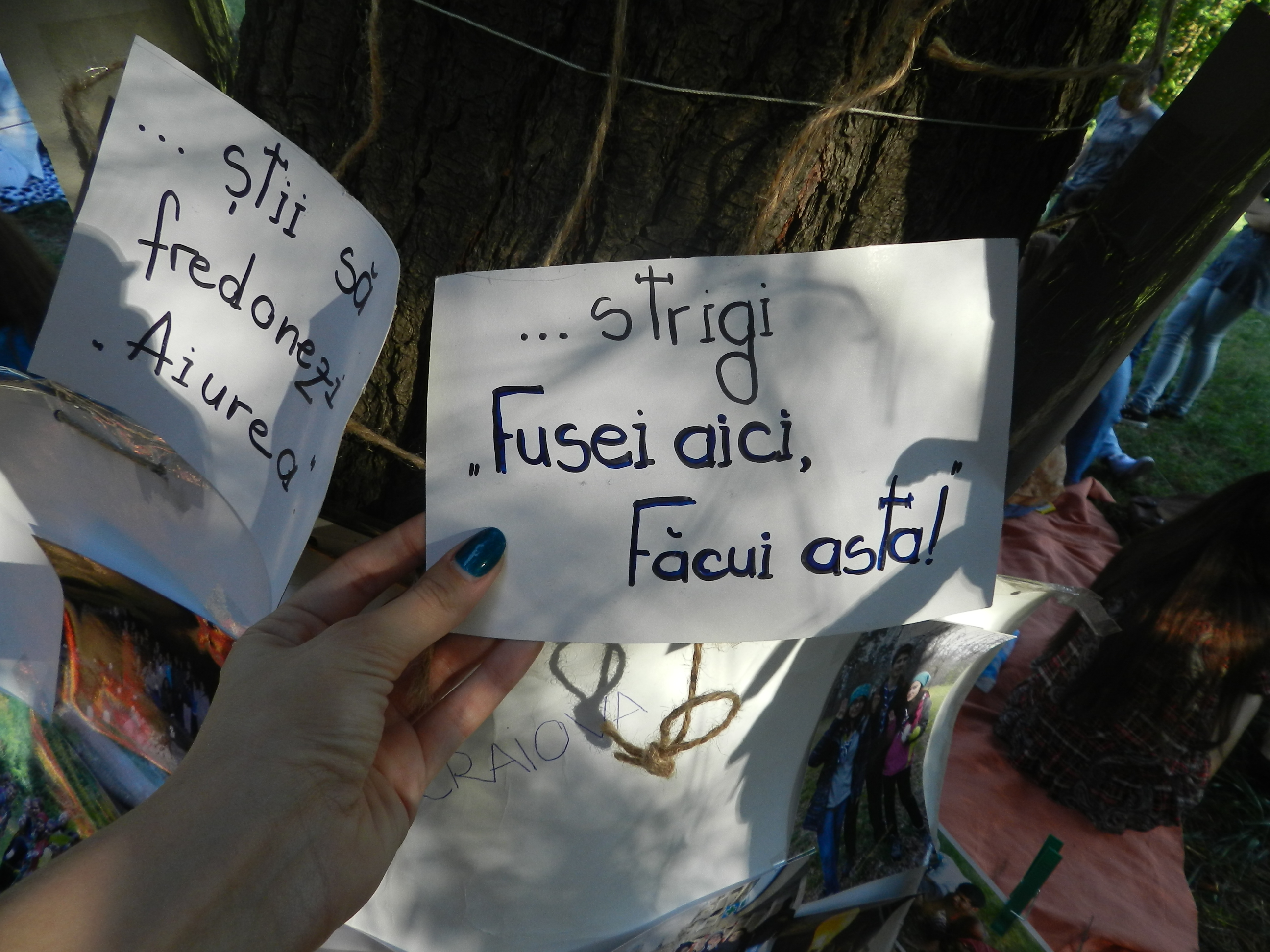 Leneveala-n Hamaceala