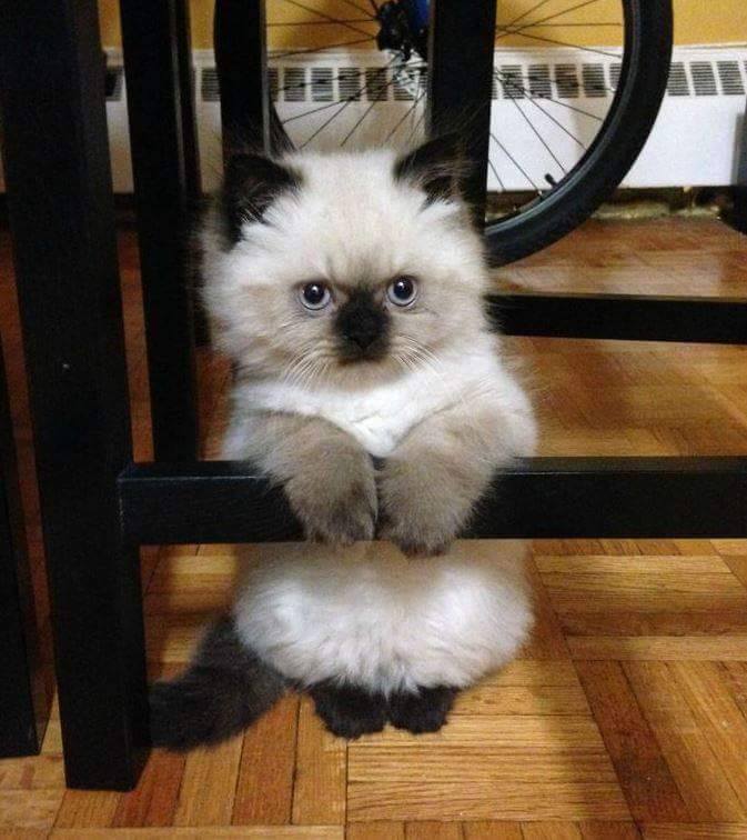 Picture of the Day: It’s already Monday???