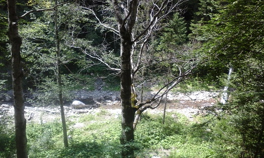 Azi despre ieri – 28 septembrie 2015