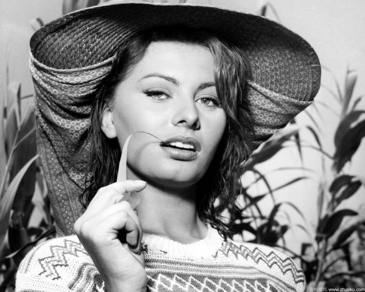 Personalitatea zilei: Sophia Loren!