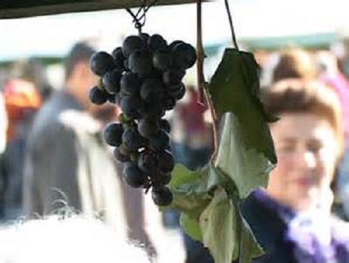 Festivalul Toamnei şi Ziua Recoltei la Târgu-Jiu