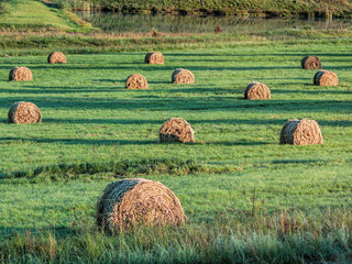 Cereri de plată la Comisia Europeană