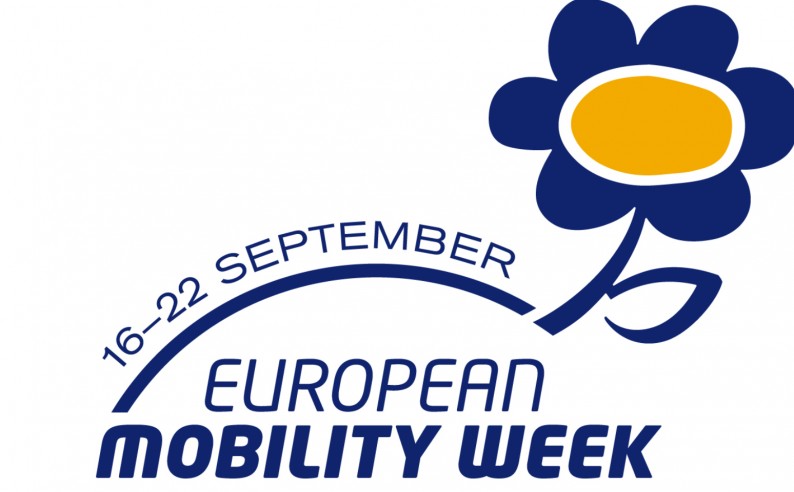 Traffic Snake Game la Valcea