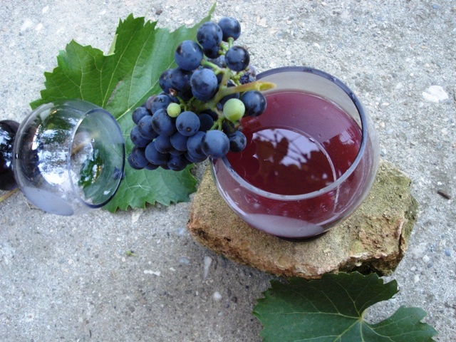 Haideti la must! GRATIS!