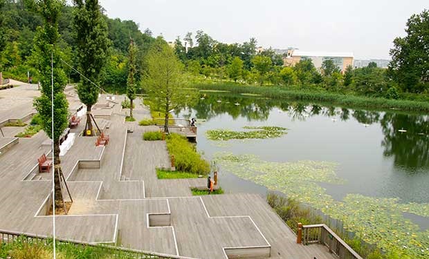 Surpriza pentru cetateni: un parc nou amenajat!