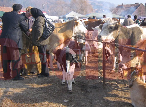 Târgul de animale din Vaideeni