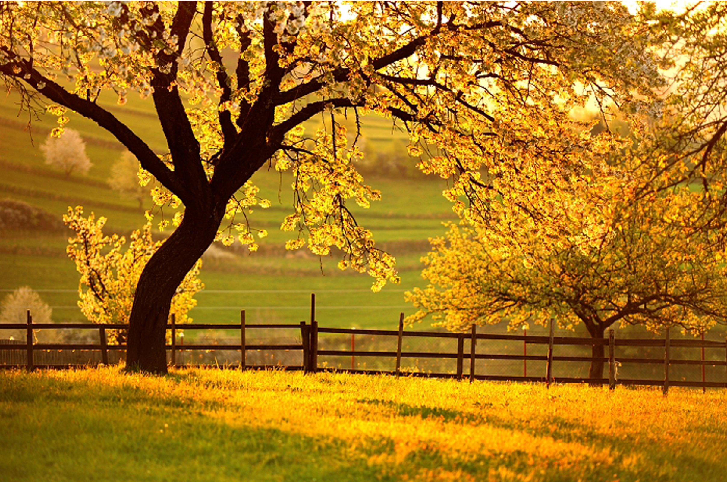 Vremea se menţine deosebit de caldă!