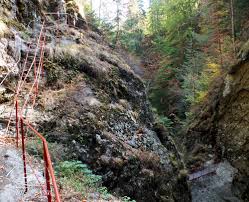 Un bărbat mort în Argeş după ce a fost luat de viitură