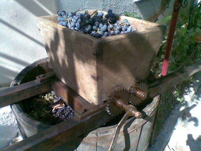 Exista vin artizanal?