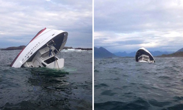 Tragedie in Canada: 5 morti dupa scufundarea unui vas pentru observarea balenelor