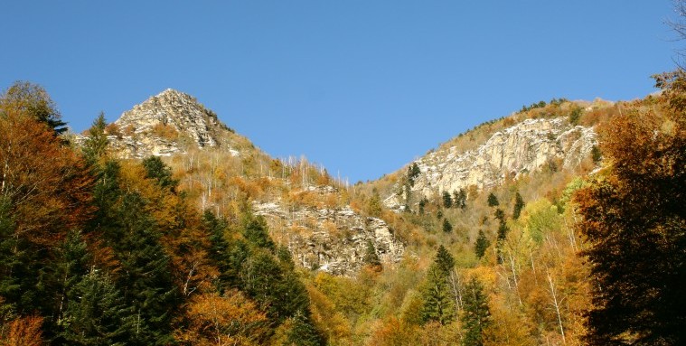 2 OCTOMBRIE – BRUMAREL