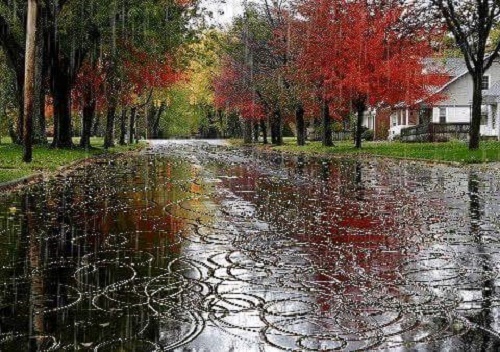 Azi despre ieri – 26 octombrie 2015