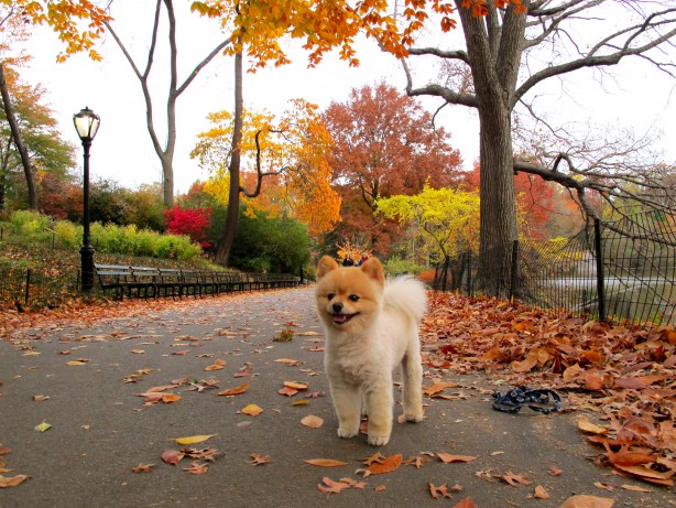 Picture of the Day: Sunday Funday!!!